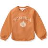 Pumpkin Sweatshirt