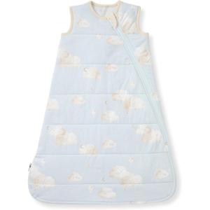 Burt’s Bees Baby Unisex Newborn Essentials 100% Organic Cotton Beekeeper Wearable Blanket(Quilted Good Night Sky Blue)