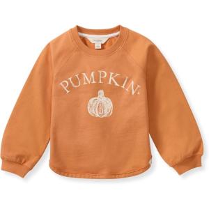 Burt’s Bees Baby baby-girls Sweatshirt, Lightweight Pull Over Sweater, Organic Cotton Layering Essential(Pumpkin Sweatshirt)