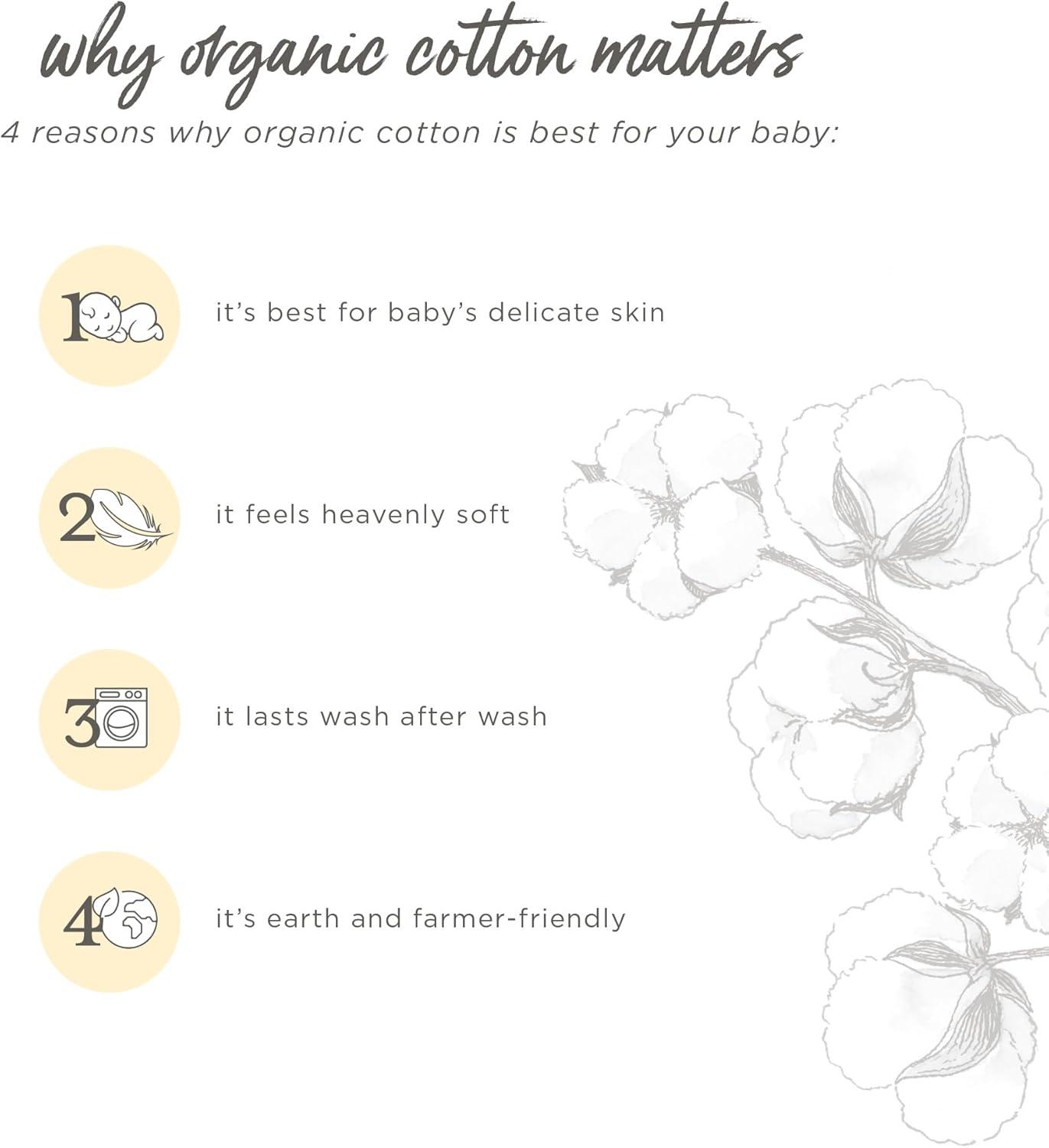 imageBurts Bees Baby Boys Jumpsuit 100 Organic Cotton Onepiece Long Sleeve CoverallIcy Blue Colorblock