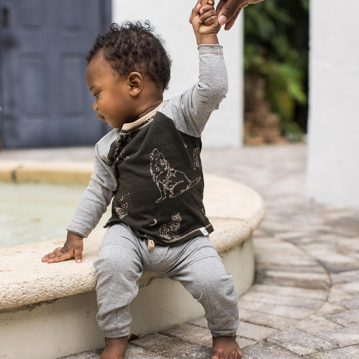 imageBurts Bees Baby Boys Shirt and Pant Set Long Sleeve Top amp Bottom Outfit Bundle 100 Organic CottonDesert Wolves Set