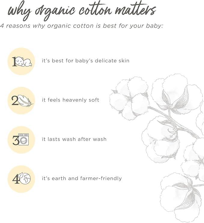 imageBurts Bees Baby Boys Shirt and Pant Set Long Sleeve Top amp Bottom Outfit Bundle 100 Organic CottonHoliday in the Alps