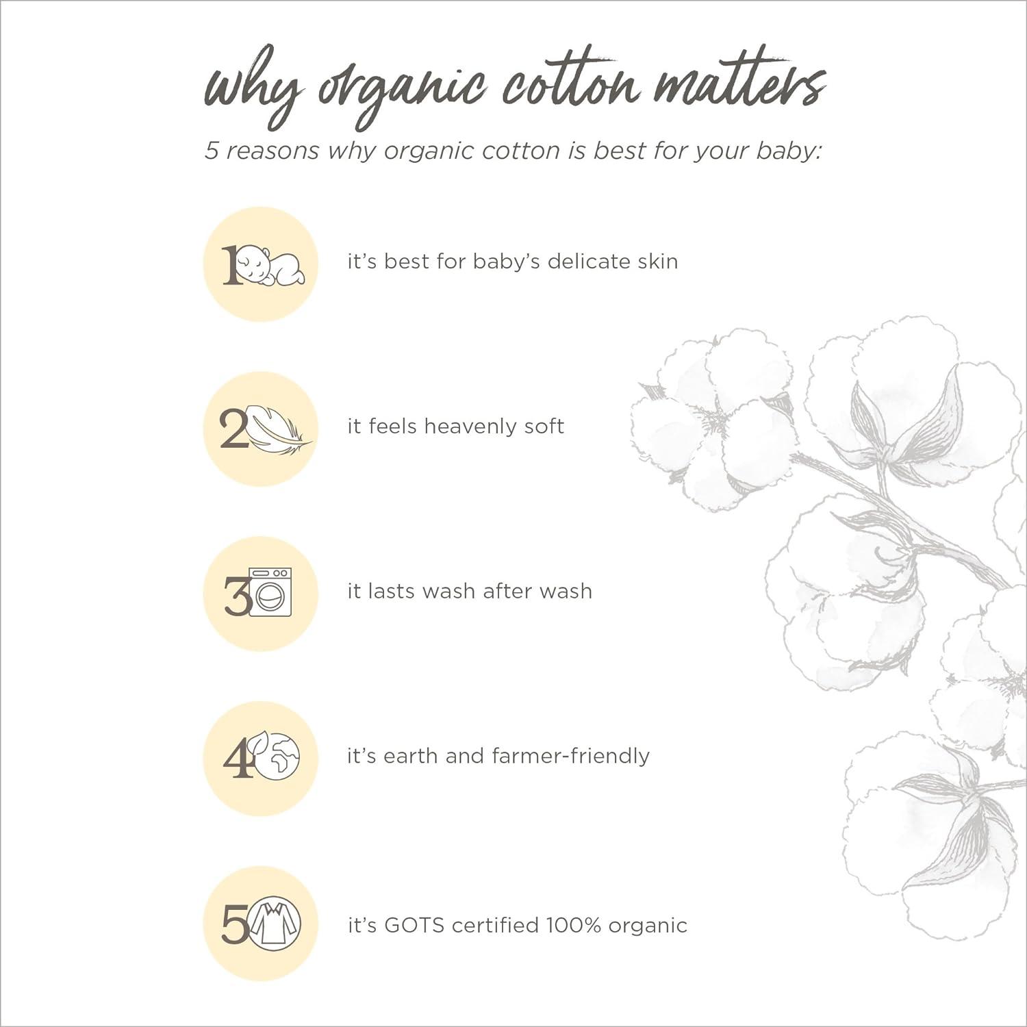 imageBurts Bees Baby Boys Sleep and Play PJs 100 Organic Cotton OnePiece Zip Front Romper Jumpsuit PajamasBunny Plaid