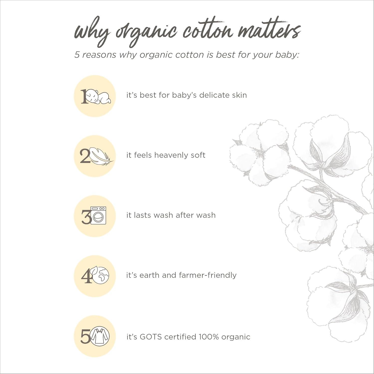 imageBurts Bees Baby Changing Pad Cover 100 Organic Jersey Cotton Changing Pad Liner for Standard 16 x 32 Inch Changing MatsFlorals